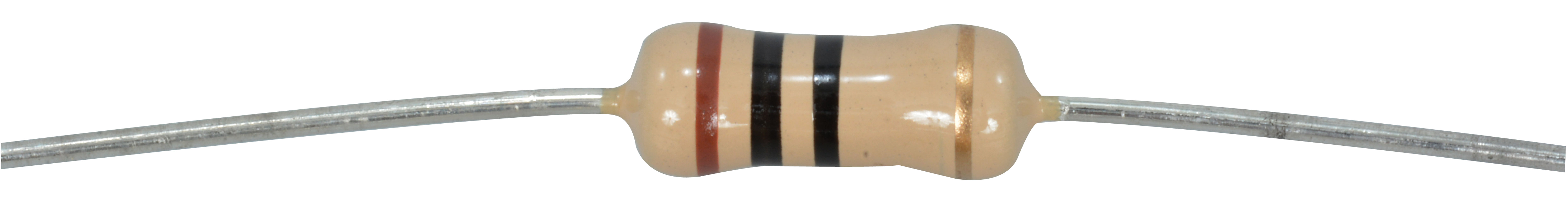 10 Ohm 1 Watt Resistor