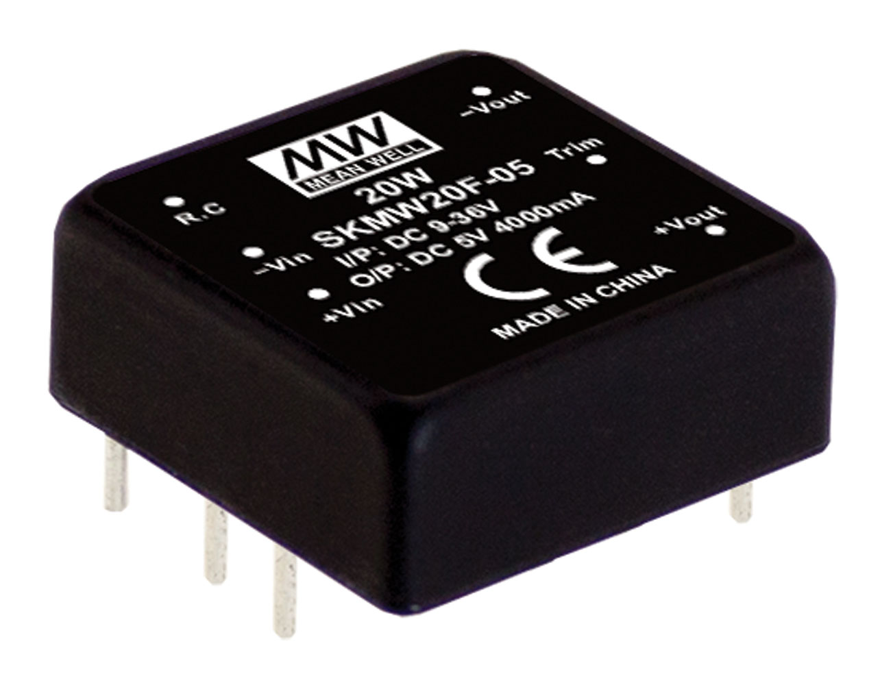 20W 5V 4A Isolated Regulated Encapsulated DC-DC Converter 24V