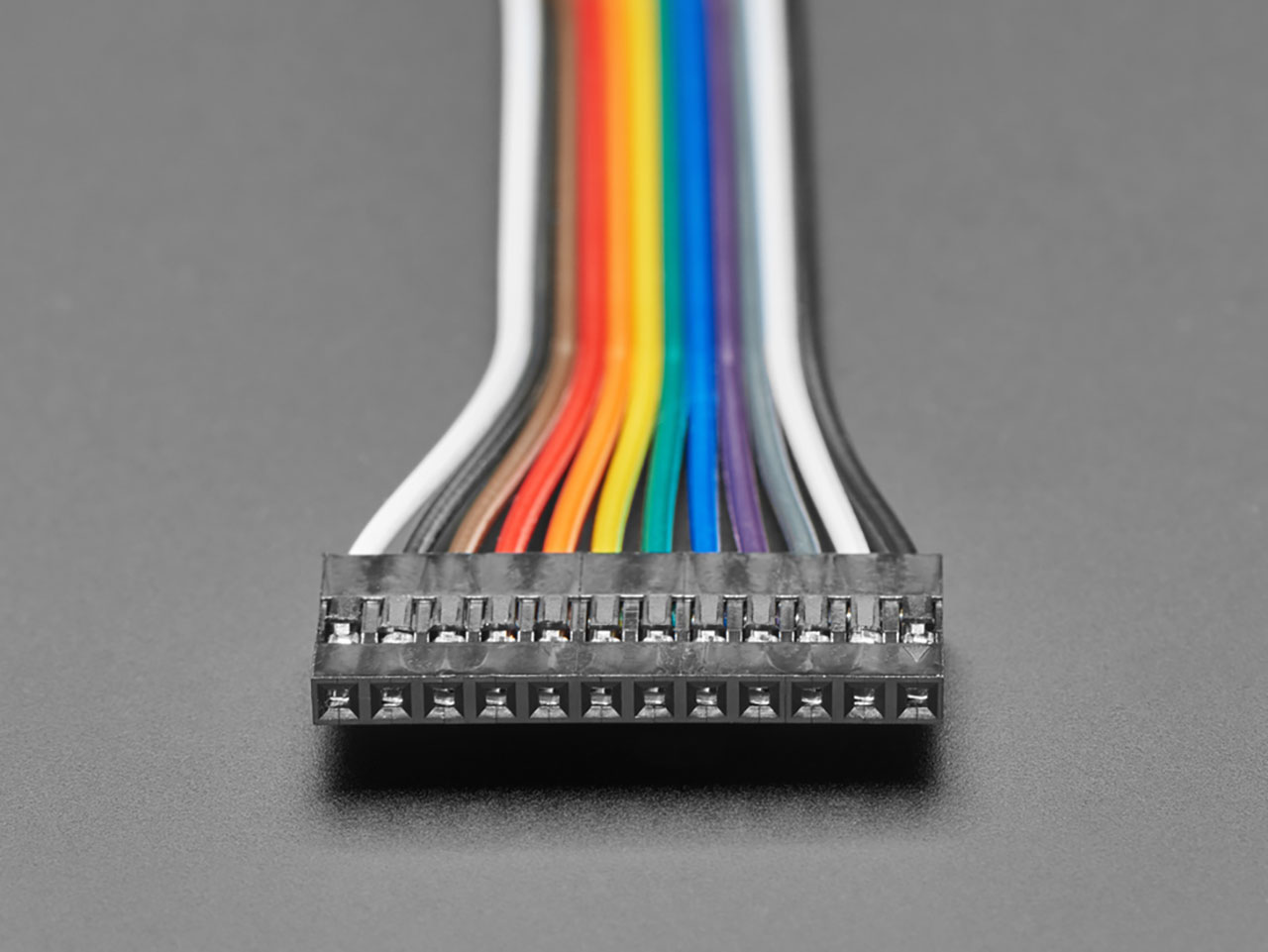 2.54mm 0.1 Pitch 12-Pin Jumper Cable - 20cm Long