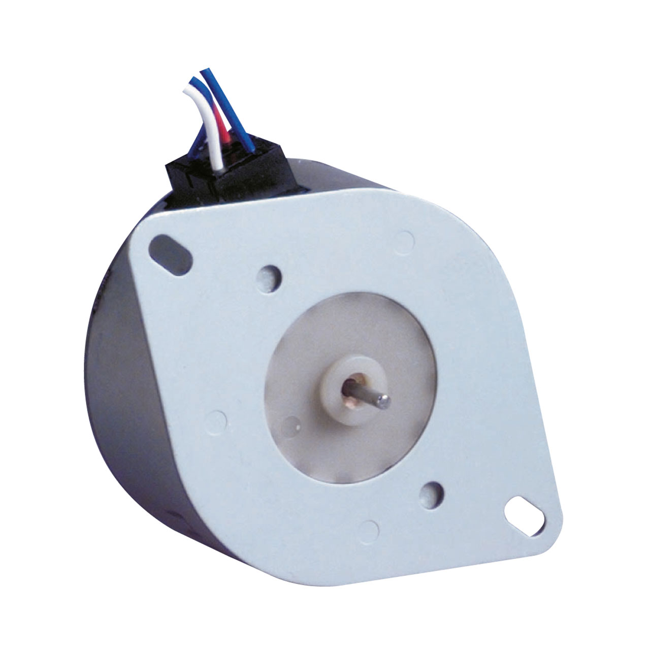 Synchronous Motor 825204 V-24 Hz-50 Reversible Direction